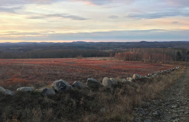 1812 Pierce House - Foto 59