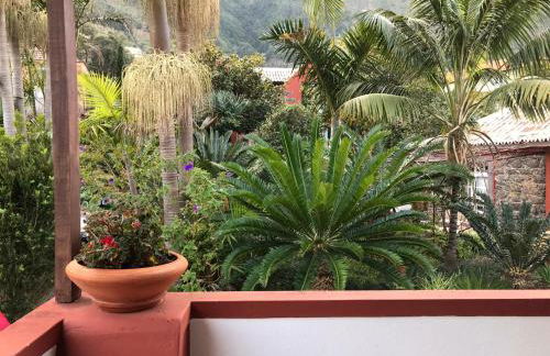 Palheirinho da Camélia - Foto 20