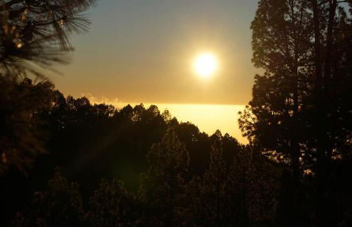 Tiny House Vogelnest - Foto 33