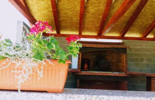 Bicho House - Foto 18