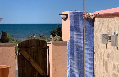 Casa Playa - Photo 1