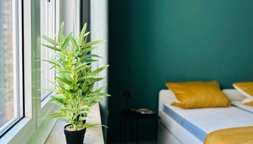 Fair, University, BVB - Photo 3