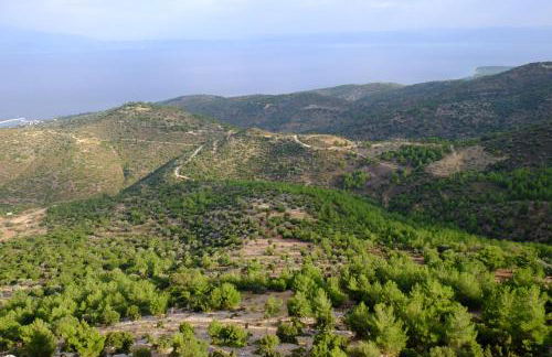 Ladanos Apartment Thassos - Foto 11