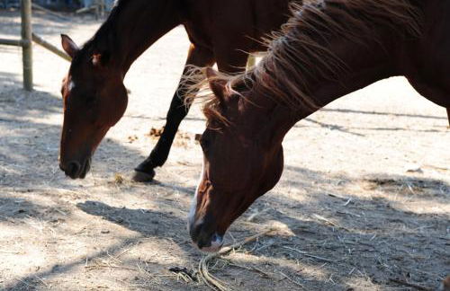 La Casa Colonica wine and oil - Foto 26