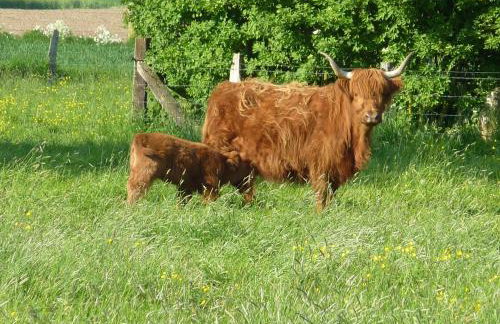 Rhinkieker Rees - Photo 9