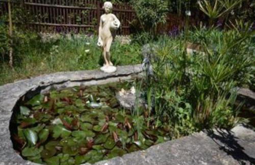 Les Oiseaux - Photo 4