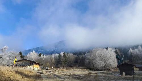 Le Cocon de Plainpalais - Foto 2