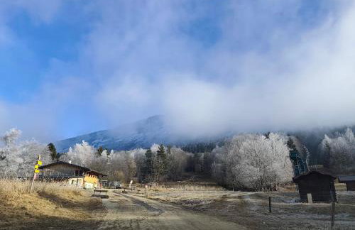 Le Cocon de Plainpalais - Foto 2