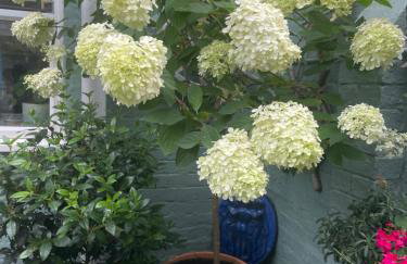 No 28 cosy cottage in the heart of Cowes - Foto 18