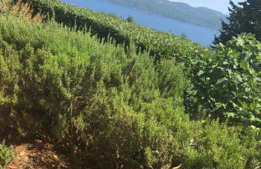 Holiday Home Sea view - Foto 26