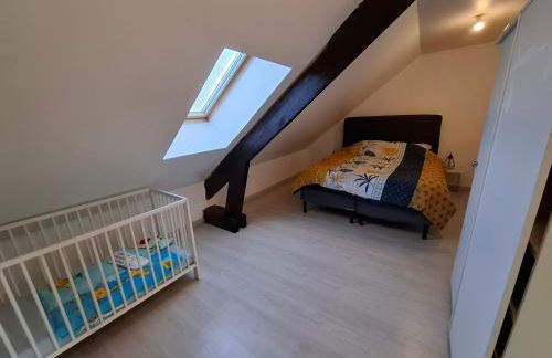 Gite de Guise, animaux bienvenus - Foto 6