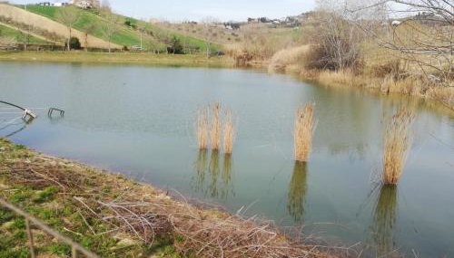 Country House Ciliegia Rossa - Foto 5