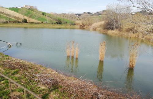 Country House Ciliegia Rossa - Foto 15