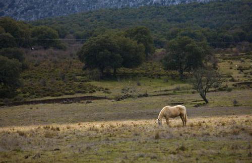 Tambor Del Llano - Foto 44