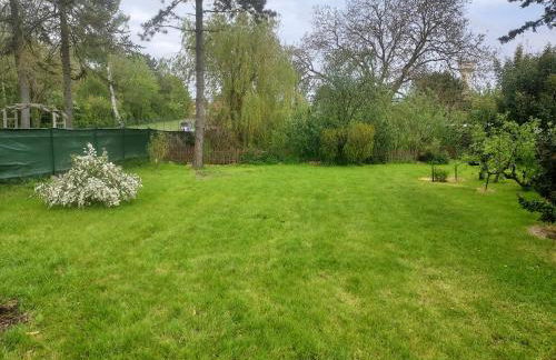 Au chant des Grenouilles - Photo 15