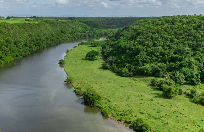 Plantações de cana-de-açúcar e Higüey + Passeio de barco no rio Chavón - Foto 1