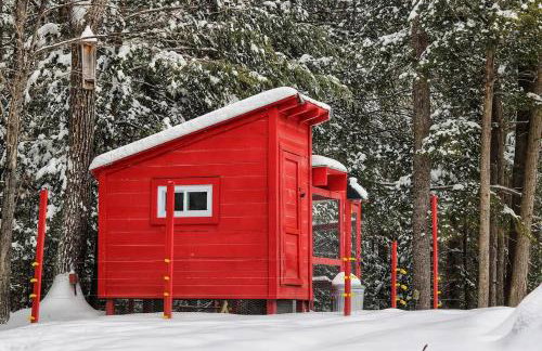 Big Red Cottage near Sunapee and New London - Foto 65