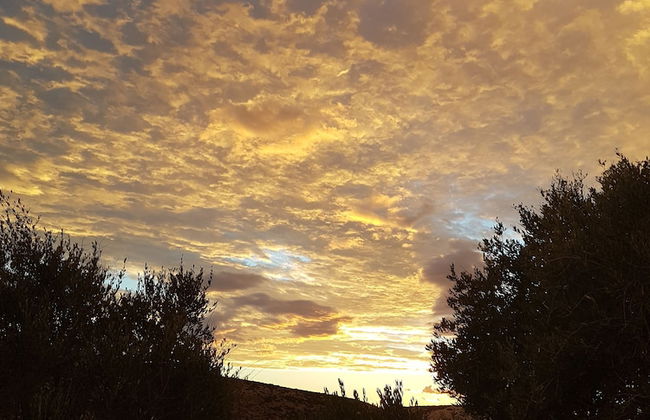 Apartments Vrtlici - Foto 74