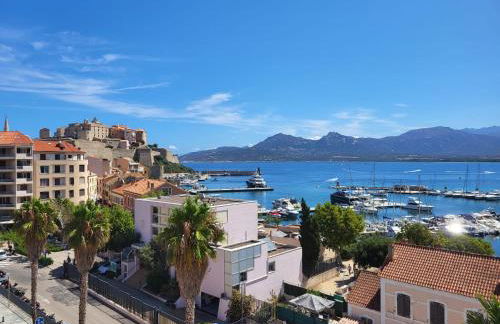 Appartement sur la baie, en centre ville - Foto 5