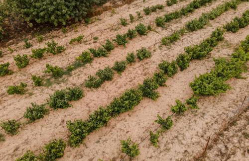 Minas Farm Cottage - Photo 26