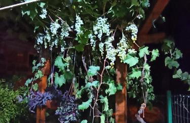 Apartmani Mislav - Photo 38