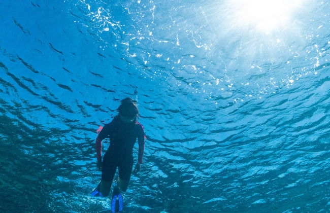 Koh Chang Diving Course - Foto 1