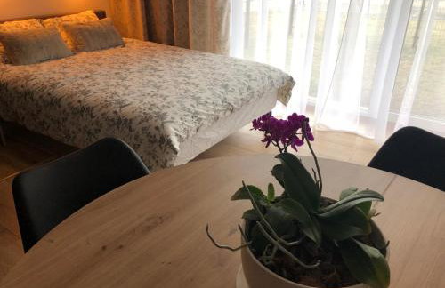 Apartament Chopina - Foto 9