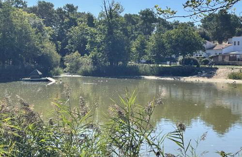 Maison au cœur de la La Palmyre - Foto 13