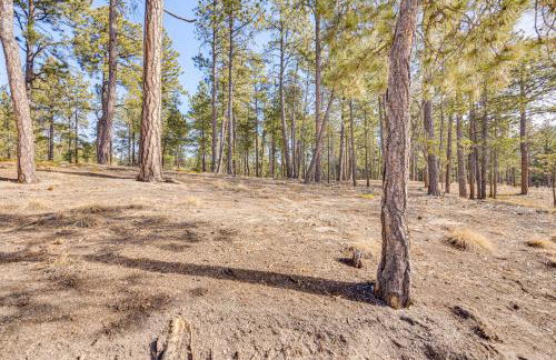 Trail Access On-Site! Wooded Colorado Springs Gem - Foto 26