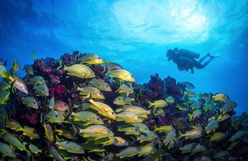 KAWAMA L1 in Key Largo, Beach, Lagoon, Pools, Tennis, Free Bikes and Canoes - Photo 69