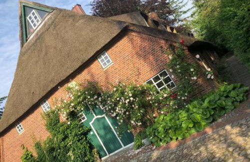 Bücherträume - Foto 1