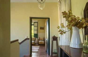 Finca Olivo Llorón - Foto 42