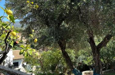 Mount Minis - Casa Bruno - Foto 42