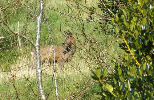 Holiday Home Gemütliches Ferienhaus für 2 Personen und 1 Kind by Interhome - Foto 18