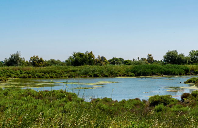 Domaine du Golf - Foto 15