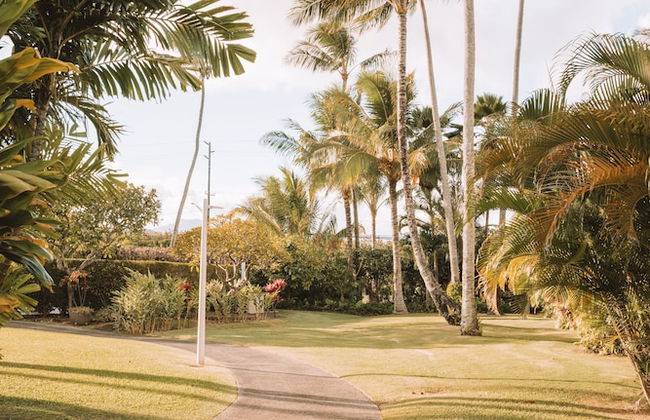 Plantation Hale Suites - Foto 80