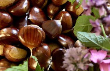 Rifugio Uschione - Foto 40