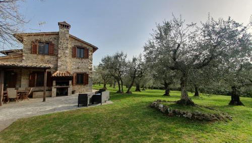 Villa Lisabetta - Foto 4, Garden, Garden view