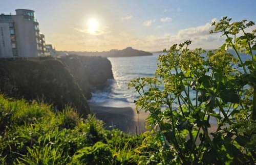 JL Cornwall Newquay Caravan - Foto 27