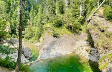 Cozy Apartment mitten in Oberstaufen - Foto 18