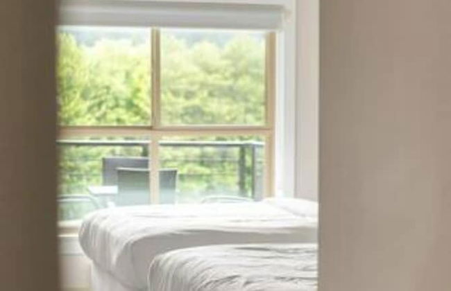 Harrison Lake Pets Welcome 3BR Suite - Photo 11