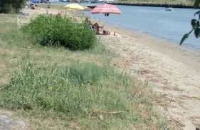 Casa Martina "holiday home" Marano Lagunare - Foto 59