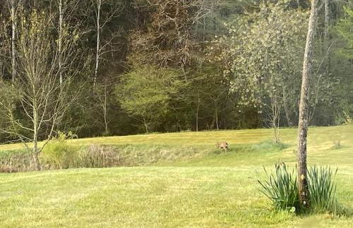 Logement entier de charme, gite équestre GERS Flamarens - Photo 42
