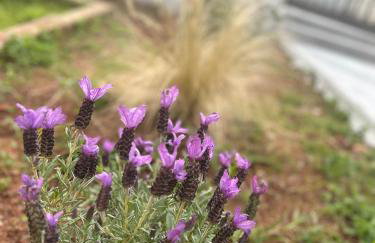 Bella Elena 1 - Foto 22