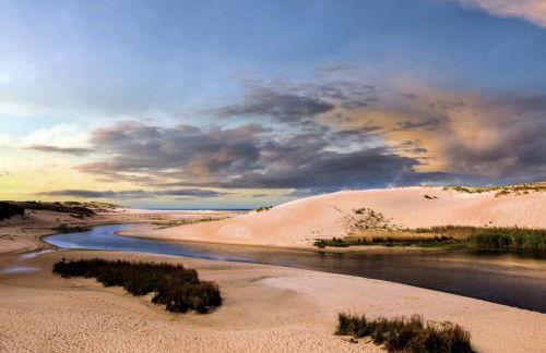 Beautiful Landes house park and tennis near ocean - Foto 34