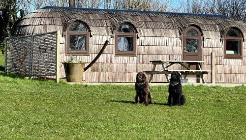 The Pilchard - Lydcott Glamping Cornwall, sea view - Foto 5, Garden