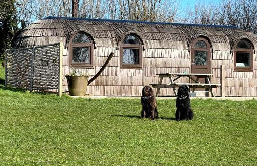 The Pilchard - Lydcott Glamping Cornwall, sea view - Foto 5