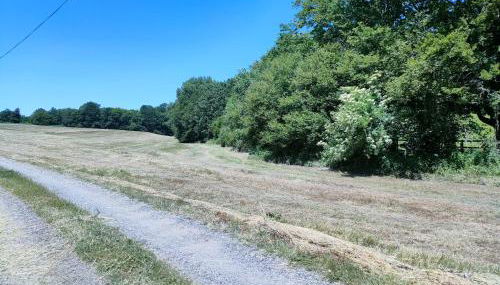 Gîte "Rêves de Gamins", proche du pôle Européen et du circuit des 24h - Foto 3