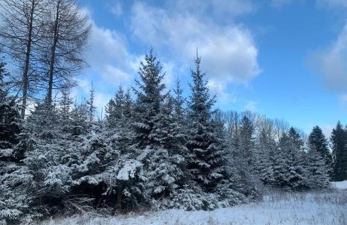 Domek na górce - Foto 28