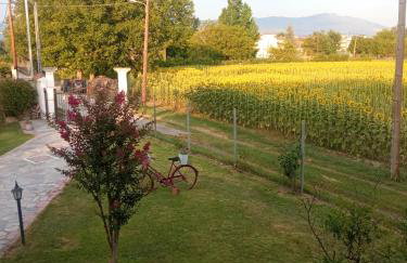 Η Αυλή - Photo 61